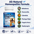 Dog Gingivitis Treatment, Gum Disease & Dog Tooth Pain Relief, 200 Tablets