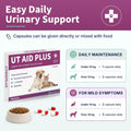 Natural UTI Treatment for Cats & Dogs – Antibiotic-Free Urinary Tract Infection Support Supplement – Bladder & Kidney Health – Incontinence Prevention – 30 Caps