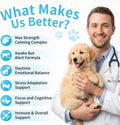 Calming Chews for Dogs - Advanced Calming Treats for Dogs Anxiety, Stress, Separation, & Thunder, Relaxation with Ashwagandha & L-Theanine, Non-Drowsy Alternative to Melatonin, Bacon Flavor, 90Ct