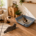 Ying Tutu 1 Pack of Extra Large Cat Litter Box (ABS Material), Low Entry Senior Litter Pen for Geriatric Kitty Big Cats, Jumbo Pet Safe Litter Boxes Tray for Indoor Pets Potty (Gray, 24" L x 20" W)