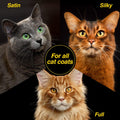 Chris Christensen Top Cat Pre-Bath Degreaser Solution for Cats, Groom Like a Professional, Removes Excess Oils, Made in 