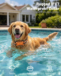 LYZPET 3-in-1 Wireless Dog Fence System: Ultra-Precise ±1Ft, Electric Shock Fence Featuring Indoor Barrier & Remote Training, IPX7 Waterproof Collar, 3 Correction Modes, 15+ lbs Dogs
