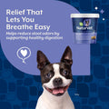 NaturVet No Toot Gas Aid for Dogs Plus Fennel - 70 Soft Chews