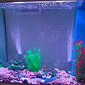 Air Stone Bar Bubble Diffuser Set, Ball-Shape Fish Tank Air Bubble Air Stone Bar Hydroponics Oxygen Diffuser, for Aquari