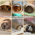 Guinea Pig Tunnel, Washable Felt Hideout, Cavyhead Design，Beige