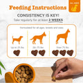 Zesty Paws Probiotics for Dogs - Digestive Enzymes for Gut Flora, Digestive Health, Diarrhea & Bowel Support - Clinically Studied DE111 - Dog Supplement Soft Chew for Pet Immune System - Pumpkin, 90ct