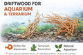 Azil Natural Aquarium Driftwood Root – Driftwood for Aquarium Decor, 170g~0.38lb (14″–16″), Fish Tanks, Terrariums, Aqua