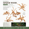 Natural Driftwood for Aquarium, Spider Wood Fish Tank Decor, Real Solid Wood Aquarium Driftwood for Aquascaping and Terr