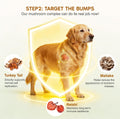 Turkey Tail Mushroom for Dogs,Senior Dog Supplement for Lumps, Bumps & Lipoma,Soft Chews with Reishi, Maitake, Turmeric & Astragalus,Supports Immune Health,Natural Chicken Flavor, 120 Count