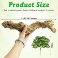 Reptile Branch Decor, Snake Climbing Wood Branches, Terrarium Logs