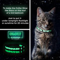 Pawtitas Glow in the Dark Cat Collar with Breakaway Safety Buckle & Bell Adjustable Kitten Collar