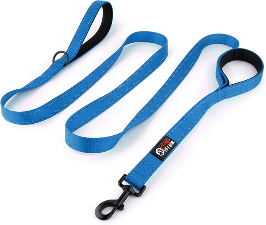Primal Pet Gear Dog Leash 8ft Long - Blue - Traffic Padded Two Handle - Heavy Duty - Double Handles Lead for Control Saf