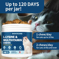 WONTECHMI L-Lysine Supplement for Cats, Cat Vitamins for Sneezing, Runny Nose, Cold, Immune Support, Eye Function and Respiratory Health, Natural Lysine Cat Treats (120 Chews, Tuna)
