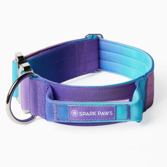 Spark Paws Tactical Dog Collar - Heavy Duty, Premium Quality, Thick and Durable for Large and Medium Dogs - 90's Retro - L