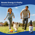 Appetite Stimulant for Cats, Liquid Vitamin B12 & Methylcobalamin Drops