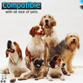 Gentle Leader for Dogs + 2X Free Training Clicker - Essential Gentle Leader