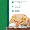 CoCoo Reptile Calcium Powder, Ideal for Leopard Geckos, Chameleons, Iguanas, Turtles, Chicken & Dog, Avoid Vitamin D3 Ov