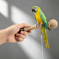 Bird Leash with 4 Different Size Foot Ring, Parrot Flying Rope Elastic Bird Harness Flying Leash Outdoor Training Tracti