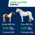 STRELLALAB Horse Probiotic Powder, 240 Servings – Equine Gut Supplement