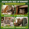 Catnip Spray for Cats – 100% Natural Catnip Spray, Boosts Playfulness & Helps Reduce Stress, Refreshes Toys, Encourages 