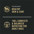 Purina Pro Plan Complete Essentials Classic Pate Dog Food, Chicken and Rice Entrée - (Pack of 12) 13 oz. Cans