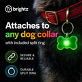 Brightz PupBrightz LED Dog Collar Charms, Paw & Bone, 2-Pack