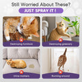 Cat Deterrent Spray 2 Pack Effective Cat Repellent Spray