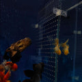 Acrylic Fish Tank Divider 11.81x9.84 inch Clear Aquarium Divider