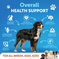 Fish Oil for Dogs - 16 OZ - Salmon Oil for Dogs - Liquid Omega 3, EPA & DHA