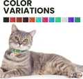 BRONZEDOG Leather Cat Collar with Removable Bells Non Breakaway Kitten QR Tag for Girl Boy (7" - 9" for Cats, Black & Gold)