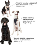 Kurgo Enhanced Strength Tru-Fit Smart Harness