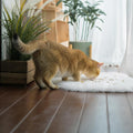 Dog Cat Bed Mat 19.6x31.4 inch, Washable Soft Plush Faux Fur Fluffy Puppy Pad Blanket for Indoor Pet Sleep Cushion White