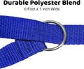 Downtown Pet Supply - 6ft Dog Kennel Slip Lead - Veterinarian, Grooming, Daycare & Rescue Supplies - One Size Leads for 