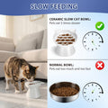 Ceramic Slow Feeder Cat Bowl, 2 Cups Tilted Elevated Cat Slow Feeder Bowl for Dry and Wet Food, Honeycomb Design for Preventing Vomiting & Bloating (White-Cute Kitten)