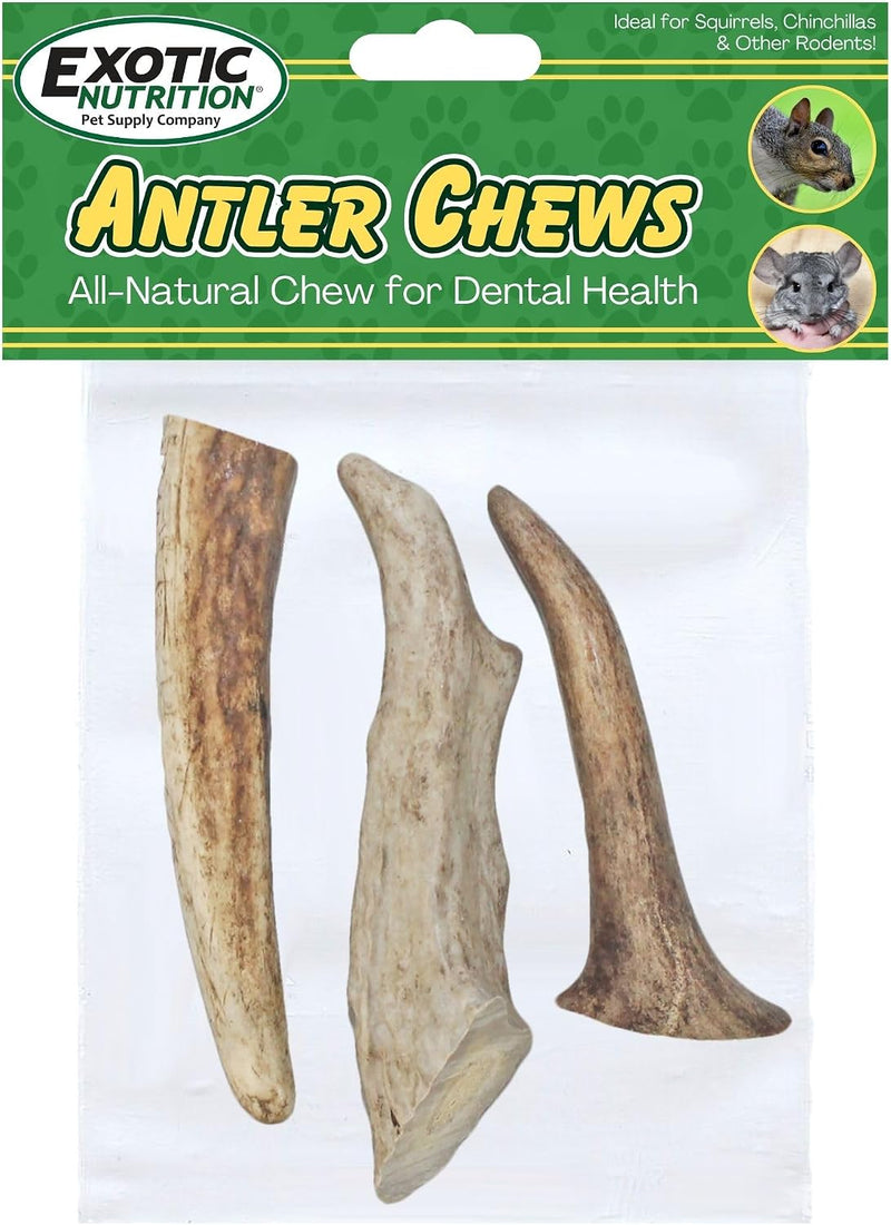 Exotic Nutrition Antler Chews - Safe Small Animal Chew - Natural Source of Healthy Minerals - Chinchilla, Hamster, Degu,