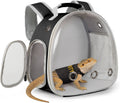 Bearded Dragon Carrier Backpack with Security Printing Harness Leash Set, Reptile Lizard Space Capsule Astronaut Clear B
