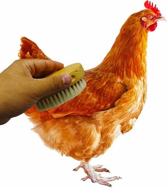 Chicken Feather Brush Extra Soft Brush for Pet Hen Chicken Care Grooming Accessories