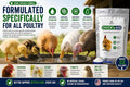 Pivotal Feeds Chick’n Aid Poultry Supplement 8 oz – Electrolytes, Probiotics & Vitamins for Chickens, Ducks & Turkeys | Supports Hydration, Gut Health & Immune Function | Made in USA