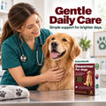 Dewormer for Dogs, Dog Dewormer for All Wormers, Roundworms, Tapeworms, Whipworms and Hookworms, 48 Count