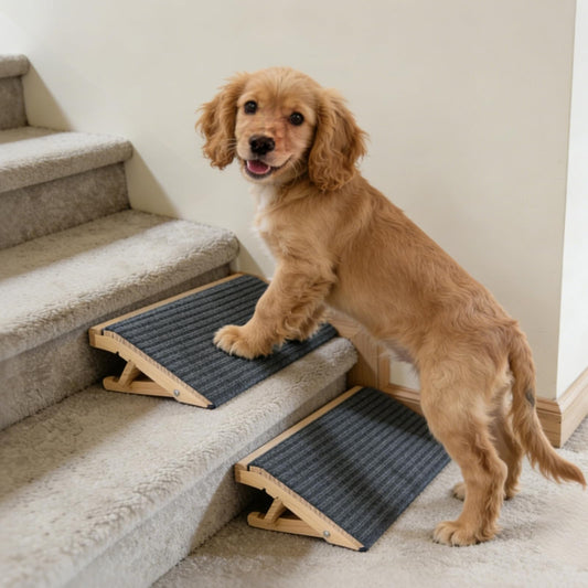 Dog Ramp for Stairs 2 Pack - Adjustable Solid Wood Foldable Indoor Pet Ramp for Senior & Injured Dogs, 2 Heights (4.2"/5.1"), Triangular Support & Non-Slip Carpet for Patio/Home, No Assembly (15.7"L)