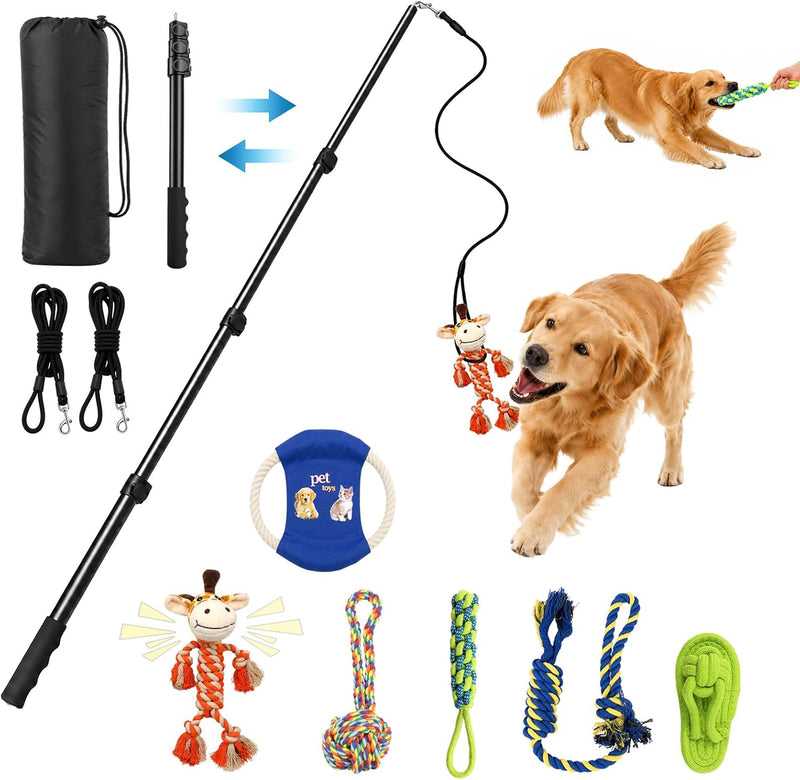 KXB Flirt Pole for Dogs - 47