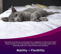Hyalogic HyaFlex Hyaluronic Acid for Cats – Premium Cat Products for Joint, Skin, Eye, and Coat Maintenance – Natural Cat Joint Supplement (30ml)