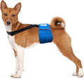 Paw Inspired Dog Diaper Suspenders, Hook & Loop Fasteners, M/L Size