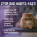 Bodhi 3-in-1 Cat & Kitten Training Aid - Cat Deterrent Spray for Indoor and Outdoor Use - Repellent to Establish Boundar