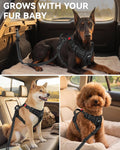 Joytale 3-in-1 Bungee Dog Seat Belt for Car, Medium and Large Dogs