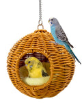 Jevnd Chewproof Steel Frame Bird Nest for Cage, Washable Small Bird Bed Hammock Hideout Lay Eggs Parakeet Nest Sleep, Parakeet Warm Bed House Hut for Lovebird, Canary, Budgie