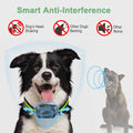 Rechargeable Dog Bark Collar with Beep Vibration and Shock,Anti Barking Collar for Small Medium Large Dogs, Humane Dog T