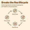Amazon Basics Preventative Flea, Tick & Mosquito Topical Treatment for Large Dogs (21-55 pounds), 6 Count, Packaging May Vary