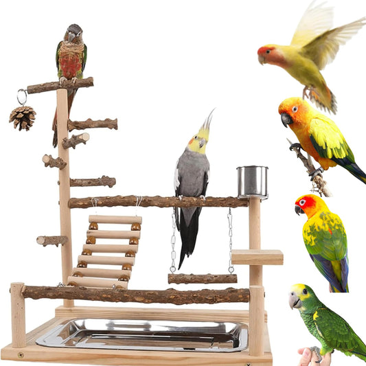 GOVNPJ Bird Playground with Feeder Cups, Wooden Parrot Play Stand for Cockatiel, Parakeet