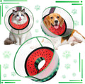 CNEO Inflatable Dog Cone Collar with Detachable Enhanced Anti-Licking Shield, Soft Neck Donut Collar for Dogs After Surgery, Adjustable Dog Cone Alternative for Large Medium Small Dogs & Cats